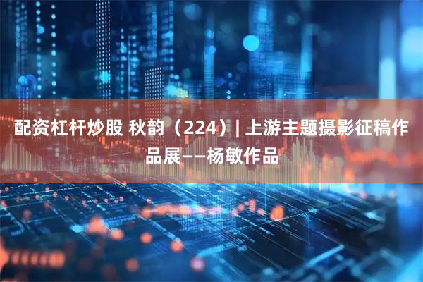 配资杠杆炒股 秋韵（224）| 上游主题摄影征稿作品展——杨敏作品