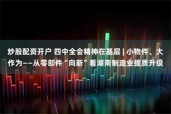 炒股配资开户 四中全会精神在基层 | 小物件、大作为——从零部件“向新”看湖南制造业提质升级