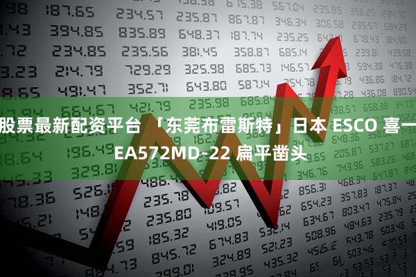 股票最新配资平台 「东莞布雷斯特」日本 ESCO 喜一 EA572MD-22 扁平凿头
