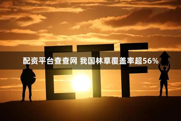 配资平台查查网 我国林草覆盖率超56%