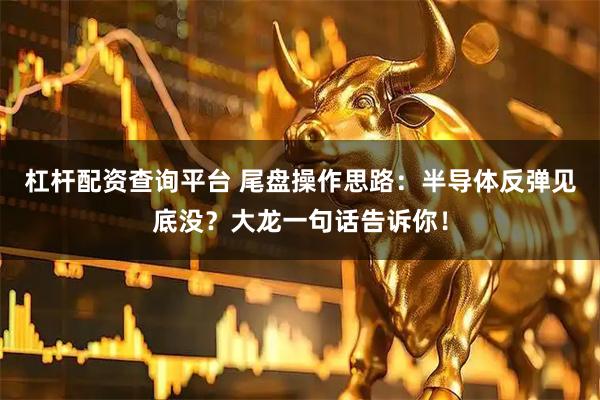 杠杆配资查询平台 尾盘操作思路：半导体反弹见底没？大龙一句话告诉你！
